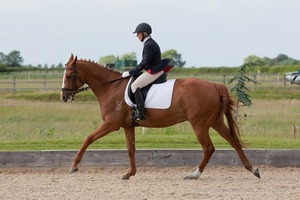 Class 5 (Novice 35 & Elementary 45)